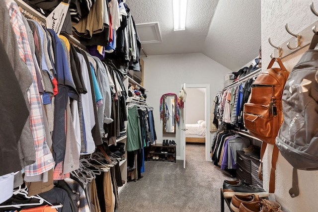 spacious closet featuring lofted ceiling, carpet, and attic access