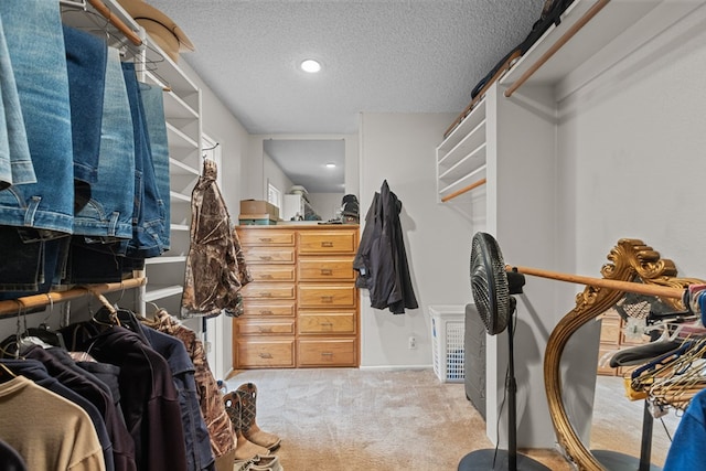 spacious closet featuring light carpet