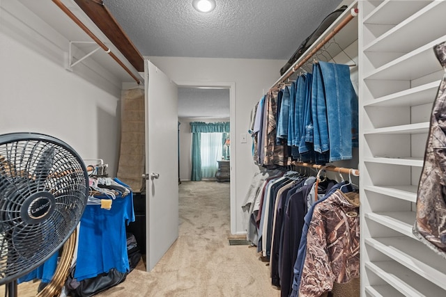 spacious closet with light colored carpet