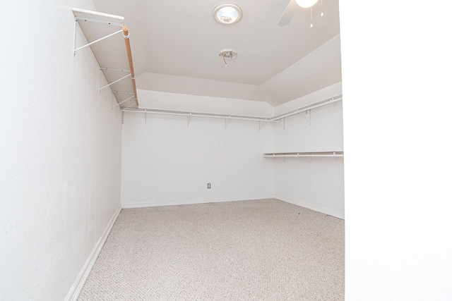 spacious closet with carpet and ceiling fan