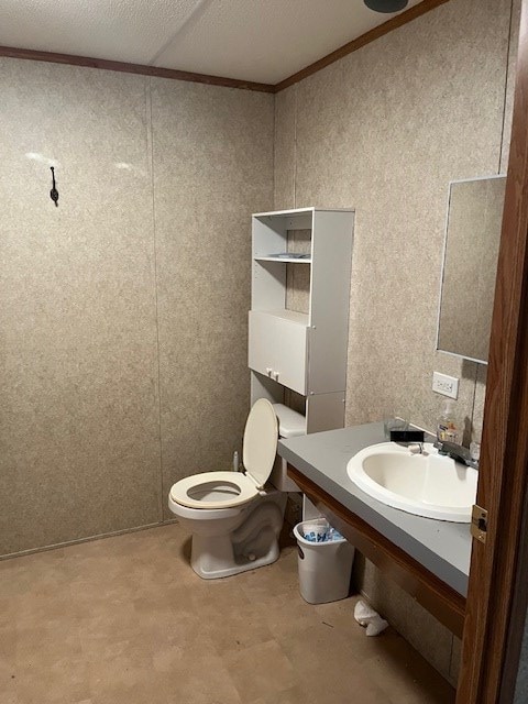 bathroom with ornamental molding, sink, a textured ceiling, and toilet