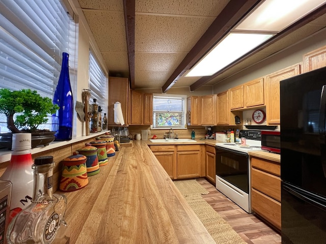 kitchen featuring kitchen peninsula, black refrigerator, electric range oven, light hardwood / wood-style flooring, and sink