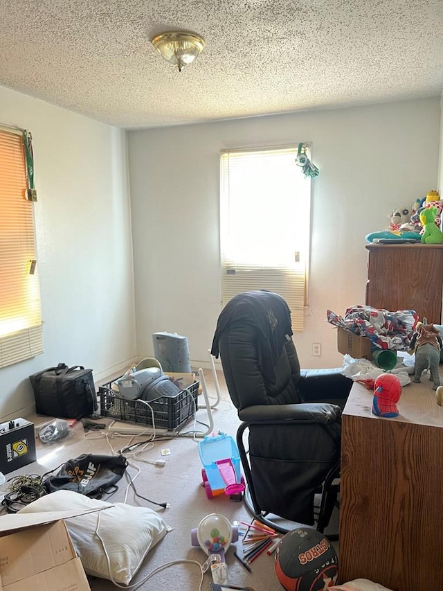 office with carpet floors and a textured ceiling