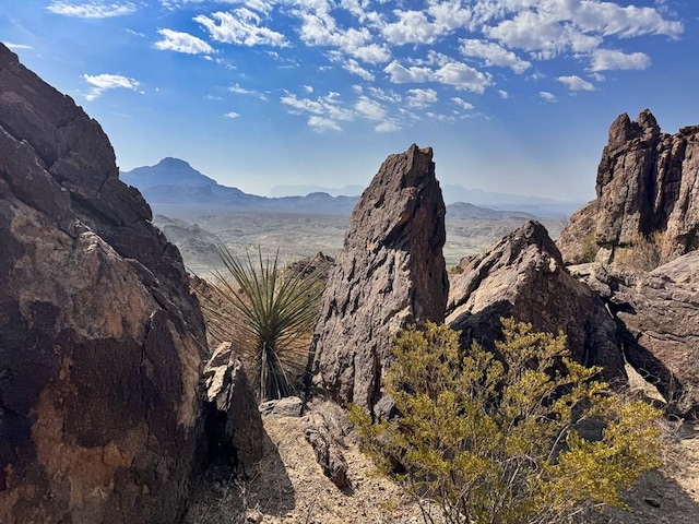 TR174 Gate 2nd Rd, Terlingua TX, 79852 land for sale