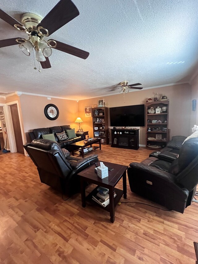 living room with ornamental molding, a textured ceiling, and light wood-type flooring