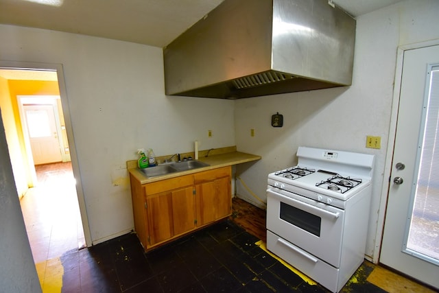 kitchen with ventilation hood, a healthy amount of sunlight, sink, and gas range gas stove