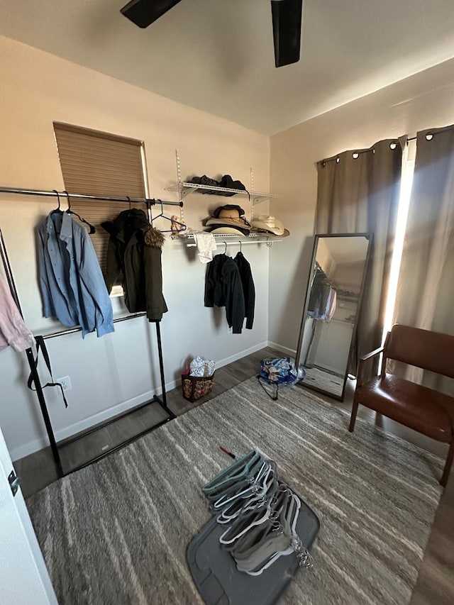 spacious closet featuring dark hardwood / wood-style floors