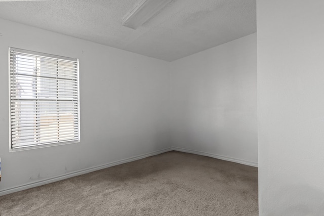 spare room with a textured ceiling, a wealth of natural light, and light colored carpet