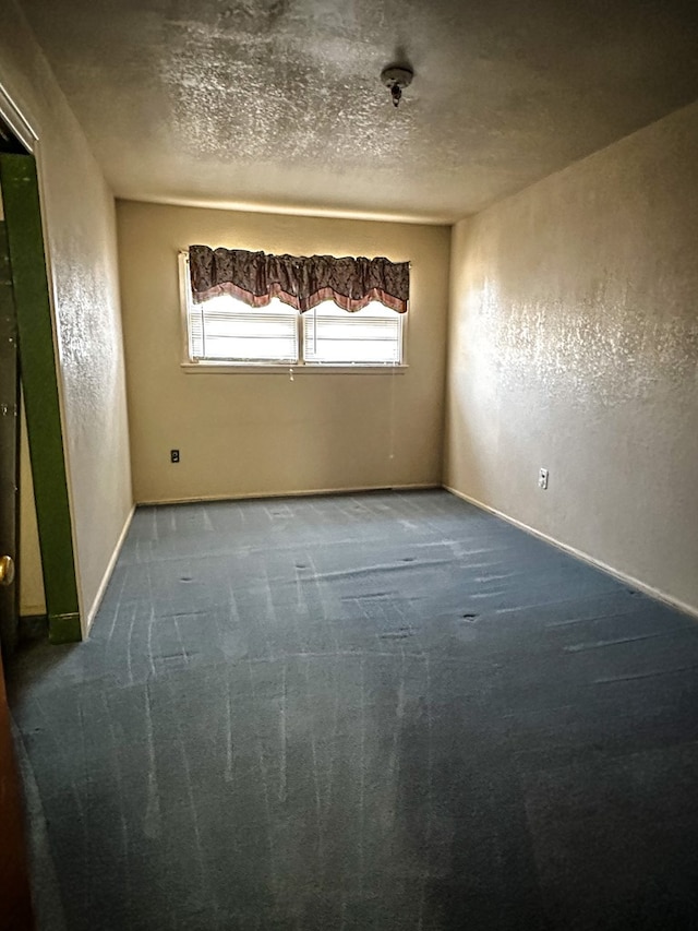 spare room with carpet flooring and a textured ceiling