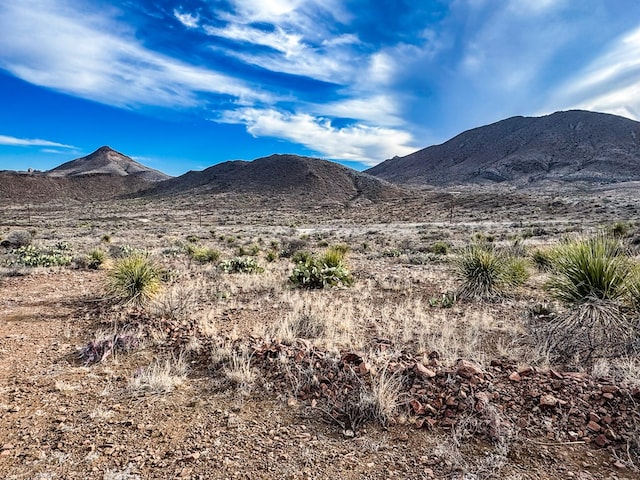 Listing photo 3 for TR894D Lake Ament Rd, Terlingua TX 79852