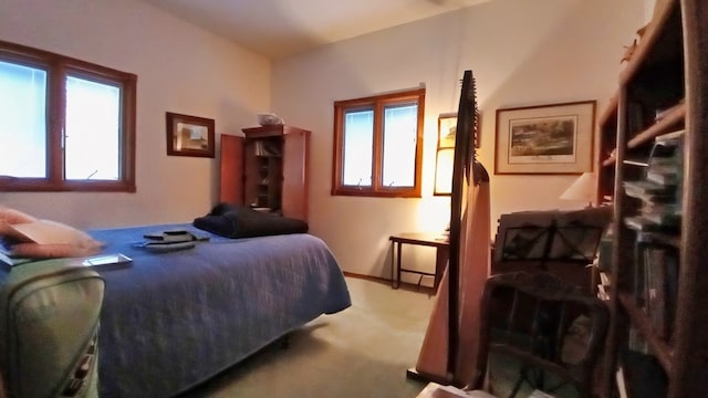 bedroom featuring carpet flooring