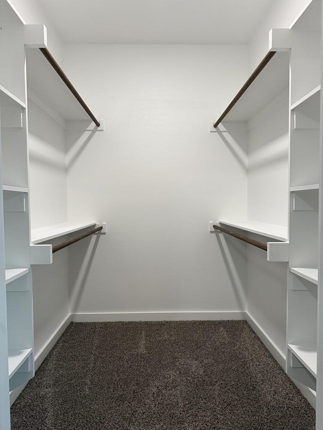 walk in closet with dark colored carpet