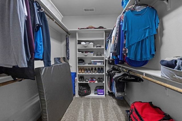 spacious closet with carpet floors