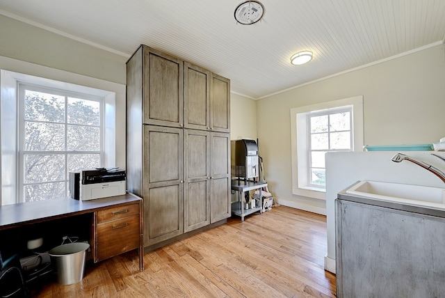 kitchen featuring a healthy amount of sunlight, crown molding, light wood-type flooring, and sink