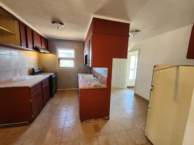 kitchen with backsplash, ventilation hood, sink, white fridge, and black range with electric stovetop