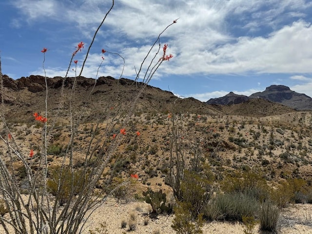 TR42 Gate 2nd Rd, Terlingua TX, 79852 land for sale