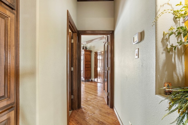 hall featuring light hardwood / wood-style floors