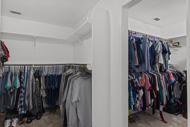 walk in closet with carpet