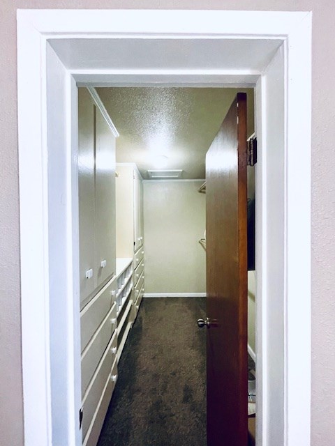 spacious closet with dark colored carpet