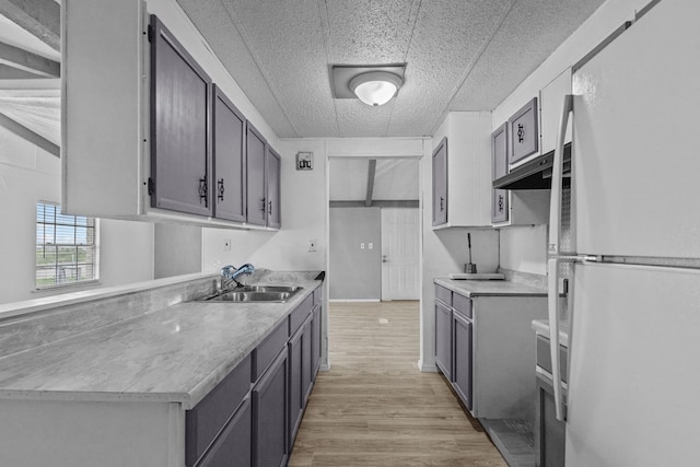 kitchen with gray cabinetry, sink, light wood-type flooring, a textured ceiling, and white fridge