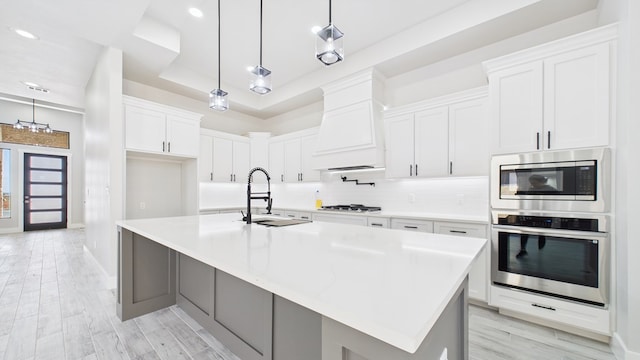 kitchen with custom exhaust hood, stainless steel appliances, tasteful backsplash, a raised ceiling, and a sink