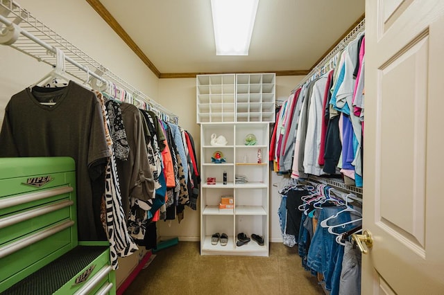 walk in closet featuring carpet flooring