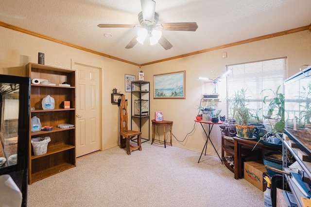 home office featuring light colored carpet, crown molding, a textured ceiling, and baseboards