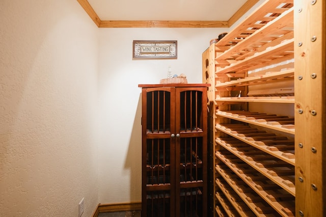 wine cellar with crown molding and a textured wall