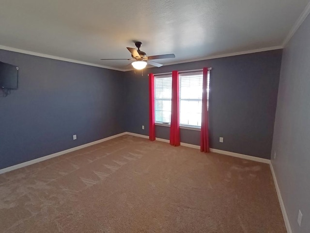 spare room with carpet flooring, ceiling fan, and crown molding