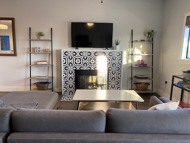 living room featuring wood-type flooring