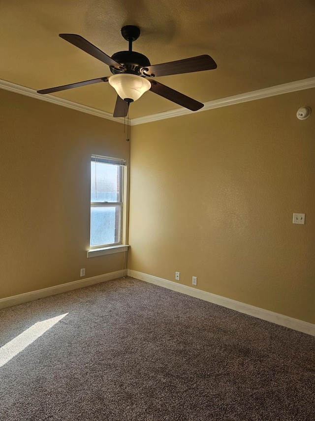 carpeted spare room featuring ornamental molding and ceiling fan