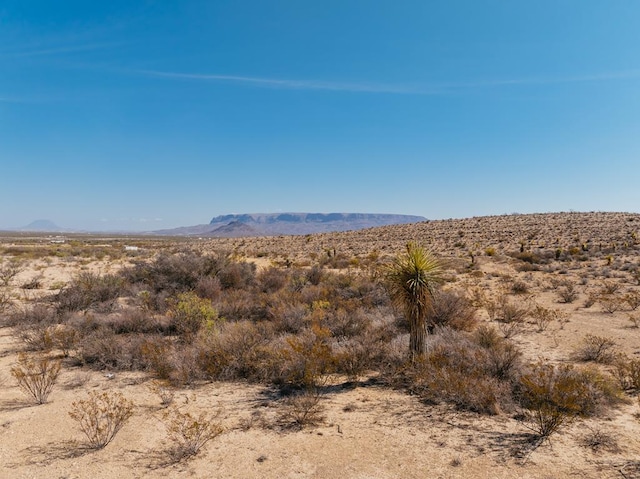 51675 118 S, Alpine TX, 79830 land for sale