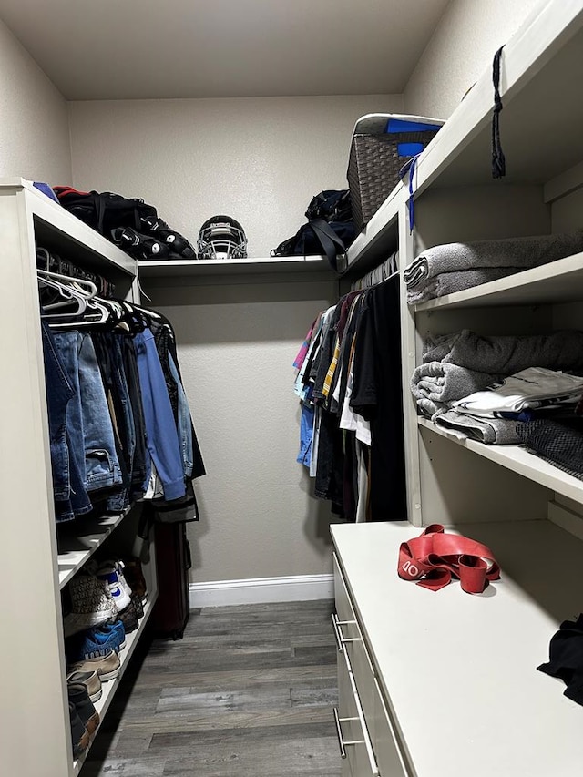 walk in closet featuring dark hardwood / wood-style flooring