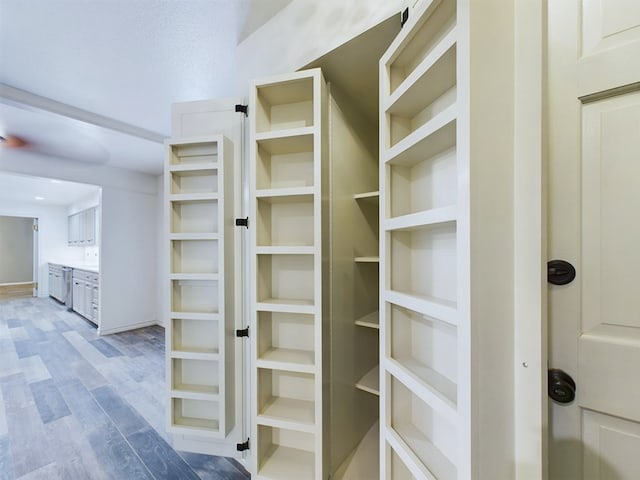 walk in closet with wood-type flooring