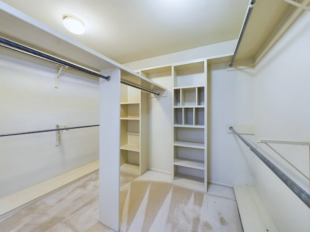 spacious closet with light carpet