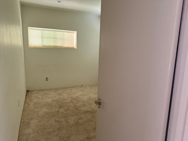 empty room with carpet floors