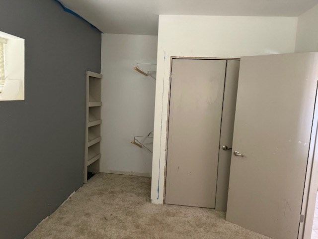 spacious closet with carpet floors