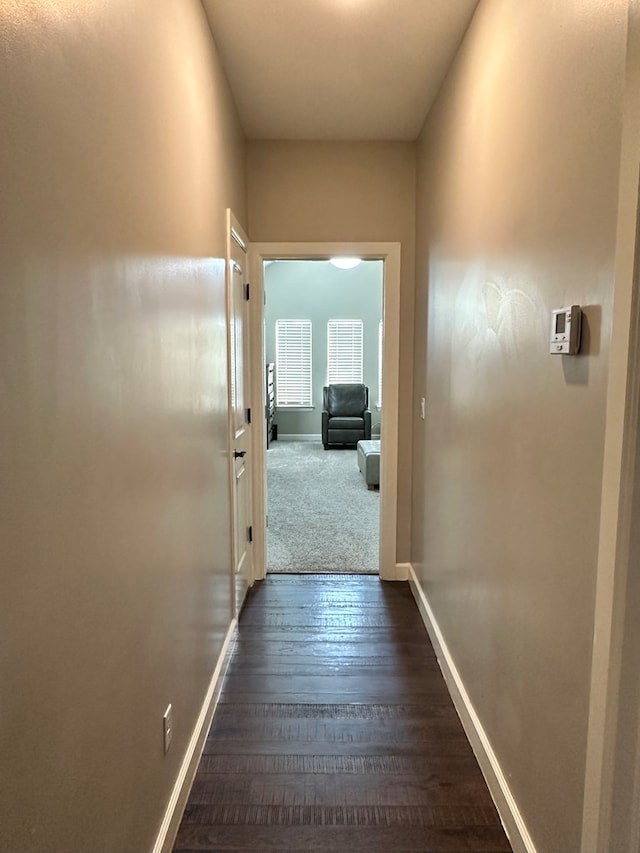 hallway featuring dark hardwood / wood-style flooring