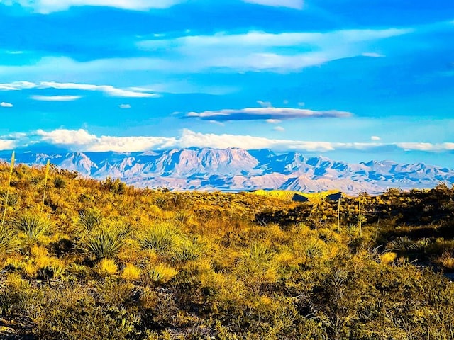 52742 Mariposa Mine Rd, Terlingua TX, 79852 land for sale