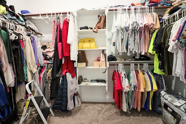 walk in closet with carpet floors