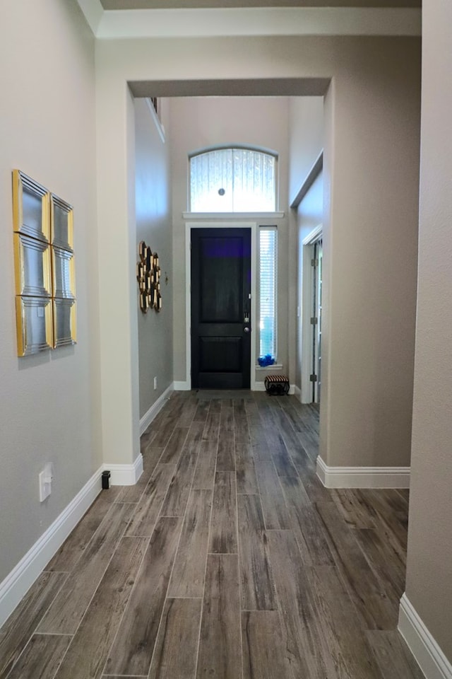 entrance foyer with wood finished floors, baseboards, and a towering ceiling