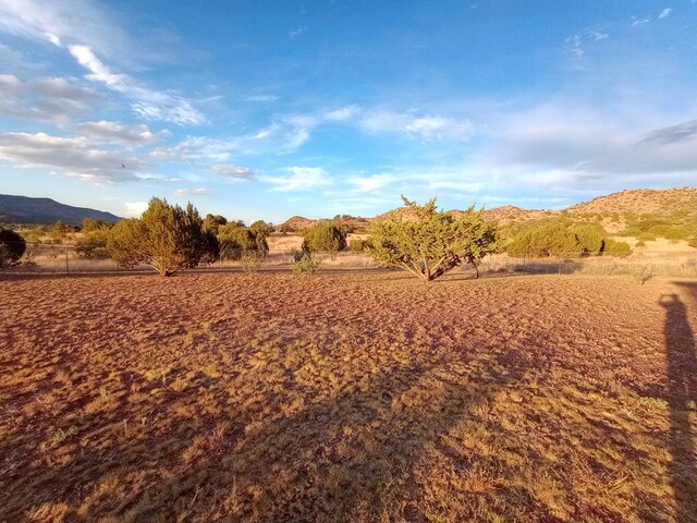 view of landscape featuring a mountain view and a rural view