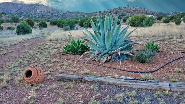 view of yard with a mountain view