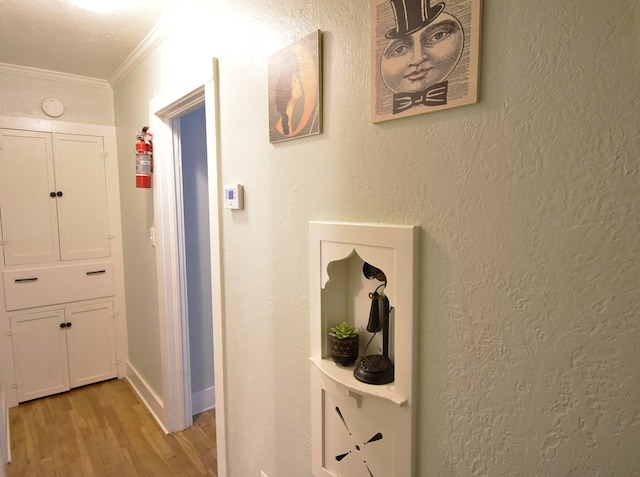 hall featuring light hardwood / wood-style floors and crown molding