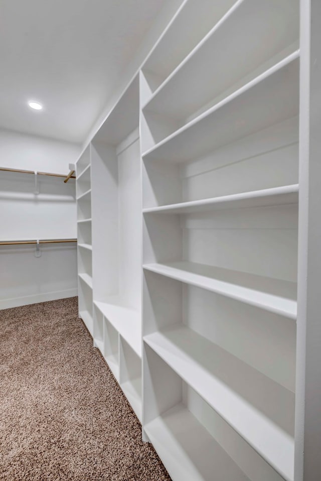 walk in closet featuring carpet floors