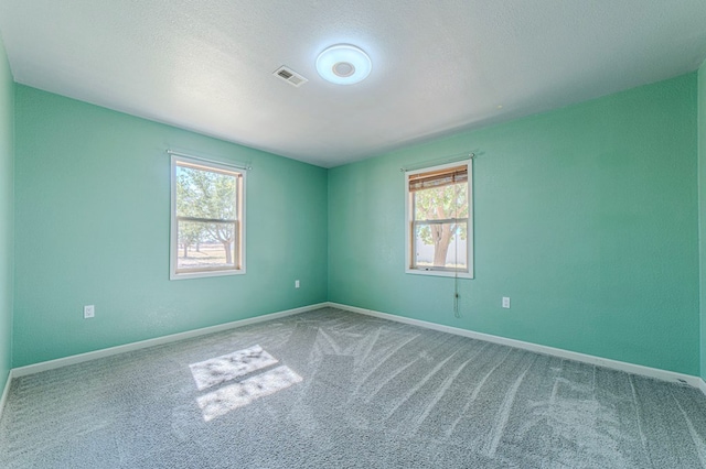 unfurnished room featuring a textured ceiling, a healthy amount of sunlight, and carpet