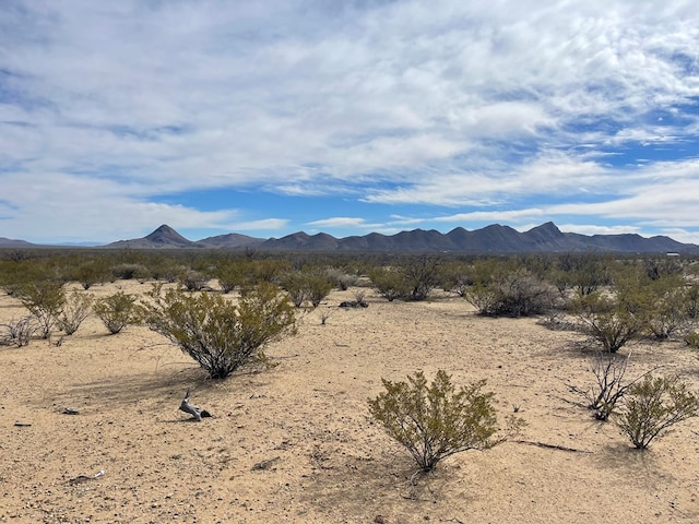 Listing photo 2 for TR604C Ltm Rd, Terlingua TX 79852