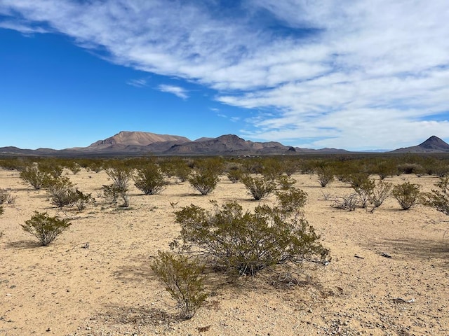 TR604C Ltm Rd, Terlingua TX, 79852 land for sale