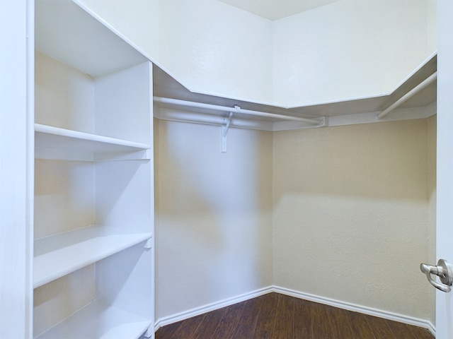 spacious closet with dark wood-type flooring