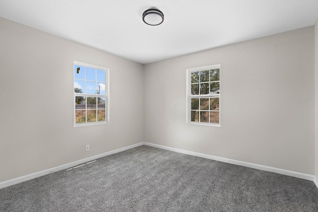 spare room featuring carpet, baseboards, and a wealth of natural light